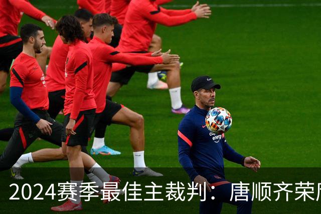 2024赛季最佳主裁判：唐顺齐荣膺金哨 马宁铜哨